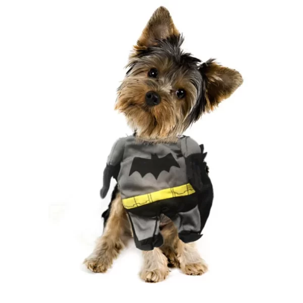 Dog Superhero Costumes - Image 2