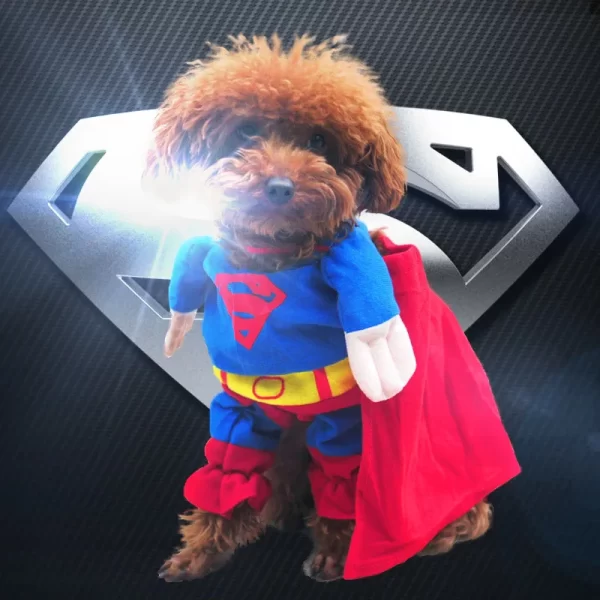 Dog Superhero Costumes